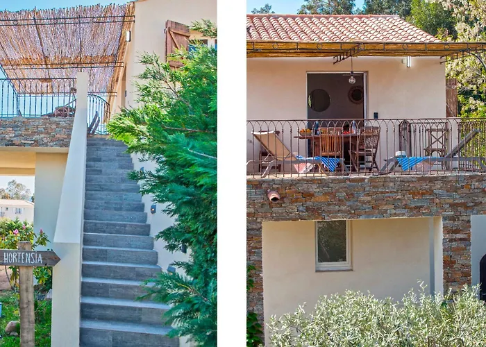 Bel Appartement Hortensia avec grande terrasse 4 à 6 personnes
